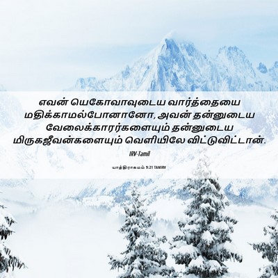 Picture 06 - யாத்திராகமம் 9:21 TAMIRV - எவன் யெகோவாவுடைய - Bible Verse Picture