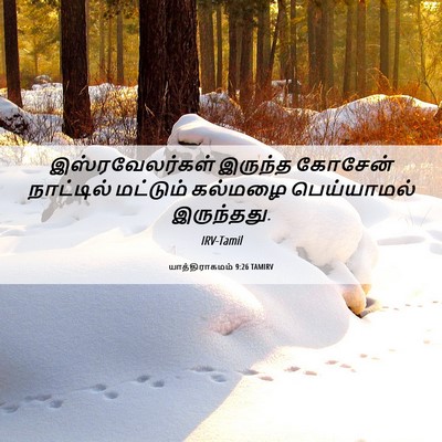 Picture 06 - யாத்திராகமம் 9:26 TAMIRV - இஸ்ரவேலர்கள் - Bible Verse Picture