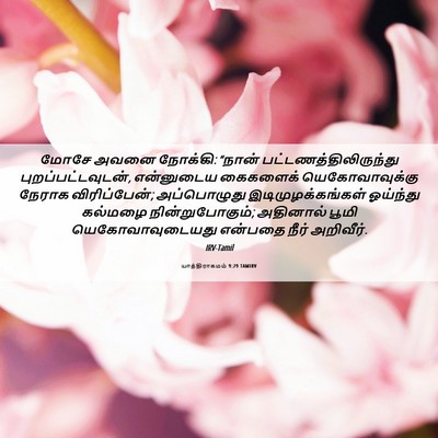 Picture 06 - யாத்திராகமம் 9:29 TAMIRV - மோசே அவனை நோக்கி: - Bible Verse Picture