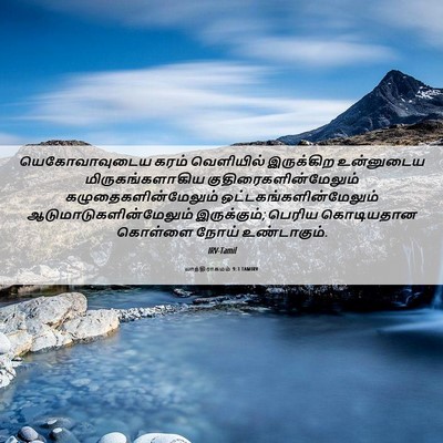 Picture 06 - யாத்திராகமம் 9:3 TAMIRV - யெகோவாவுடைய கரம் - Bible Verse Picture