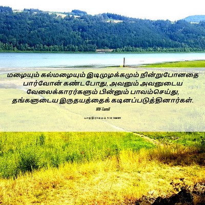 Picture 06 - யாத்திராகமம் 9:34 TAMIRV - மழையும் - Bible Verse Picture