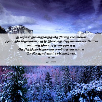 Picture 06 - யூதா 1:10 TAMIRV - இவர்கள் - Bible Verse Picture