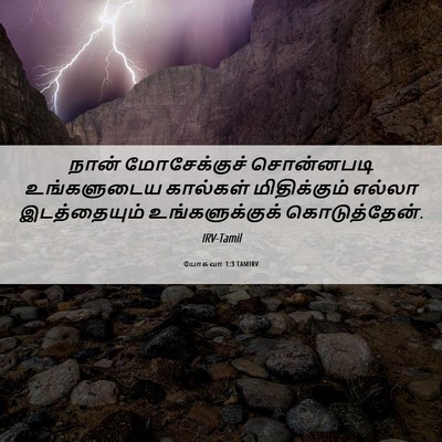 Picture 06 - யோசுவா 1:3 TAMIRV - நான் மோசேக்குச் - Bible Verse Picture