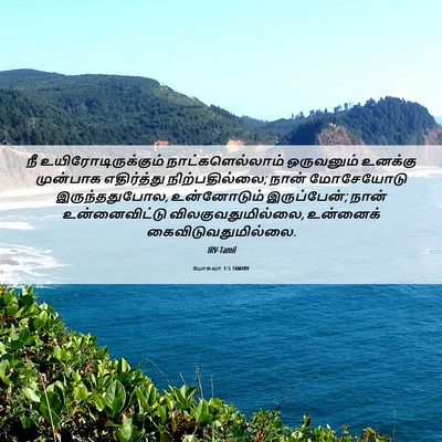 Picture 06 - யோசுவா 1:5 TAMIRV - நீ - Bible Verse Picture