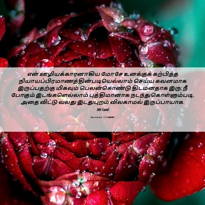 Picture 06 - யோசுவா 1:7 TAMIRV - என் - Bible Verse Picture