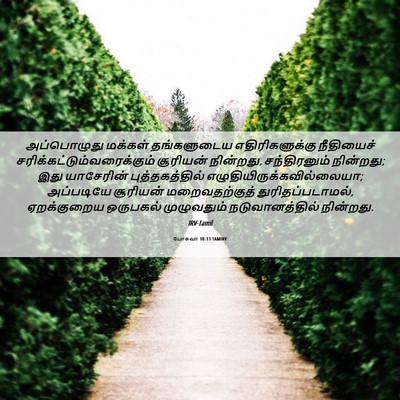 Picture 06 - யோசுவா 10:13 TAMIRV - அப்பொழுது மக்கள் - Bible Verse Picture