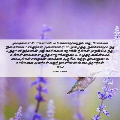 Picture 06 - யோசுவா 10:24 TAMIRV - அவர்களை - Bible Verse Picture