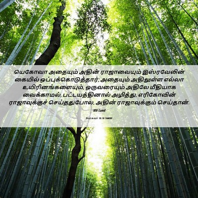 Picture 06 - யோசுவா 10:30 TAMIRV - யெகோவா அதையும் - Bible Verse Picture
