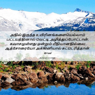 Picture 06 - யோசுவா 11:11 TAMIRV - அதில் இருந்த - Bible Verse Picture