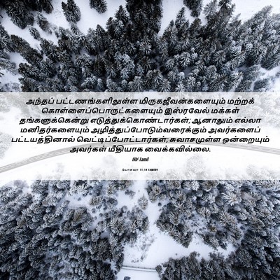 Picture 06 - யோசுவா 11:14 TAMIRV - அந்தப் - Bible Verse Picture