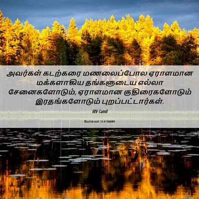 Picture 06 - யோசுவா 11:4 TAMIRV - அவர்கள் கடற்கரை - Bible Verse Picture