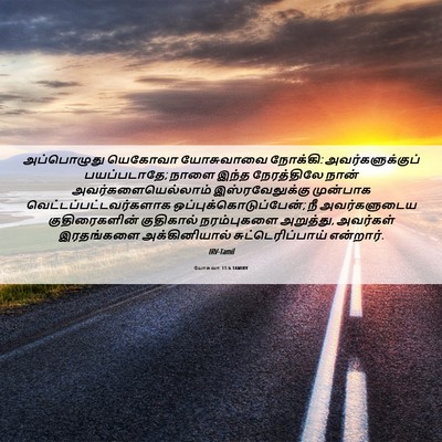 Picture 06 - யோசுவா 11:6 TAMIRV - அப்பொழுது யெகோவா - Bible Verse Picture