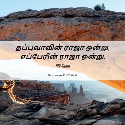 Picture 06 - யோசுவா 12:17 TAMIRV - தப்புவாவின் ராஜா - Bible Verse Picture