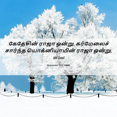 Picture 06 - யோசுவா 12:22 TAMIRV - கேதேசின் ராஜா - Bible Verse Picture