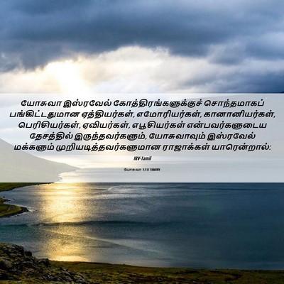Picture 06 - யோசுவா 12:8 TAMIRV - யோசுவா இஸ்ரவேல் - Bible Verse Picture