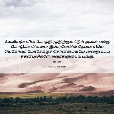 Picture 06 - யோசுவா 13:14 TAMIRV - லேவியர்களின் - Bible Verse Picture
