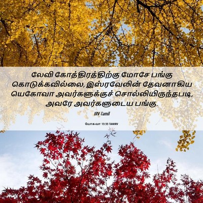 Picture 06 - யோசுவா 13:33 TAMIRV - லேவி - Bible Verse Picture