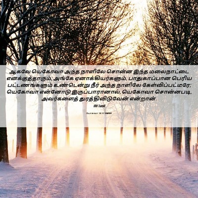 Picture 06 - யோசுவா 14:12 TAMIRV - ஆகவே யெகோவா அந்த - Bible Verse Picture