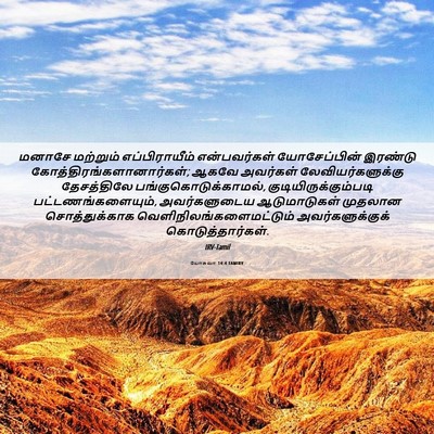 Picture 06 - யோசுவா 14:4 TAMIRV - மனாசே மற்றும் - Bible Verse Picture