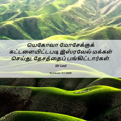 Picture 06 - யோசுவா 14:5 TAMIRV - யெகோவா மோசேக்குக் - Bible Verse Picture