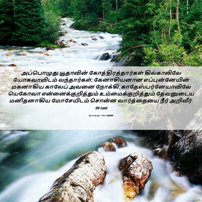 Picture 06 - யோசுவா 14:6 TAMIRV - அப்பொழுது - Bible Verse Picture