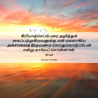 Picture 06 - யோசுவா 15:16 TAMIRV - கீரியாத்செப்பேரை - Bible Verse Picture