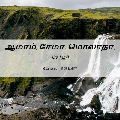 Picture 06 - யோசுவா 15:26 TAMIRV - ஆமாம், சேமா, - Bible Verse Picture