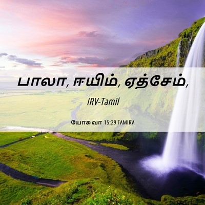 Picture 06 - யோசுவா 15:29 TAMIRV - பாலா, ஈயிம், - Bible Verse Picture