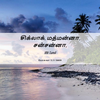 Picture 06 - யோசுவா 15:31 TAMIRV - சிக்லாக், - Bible Verse Picture