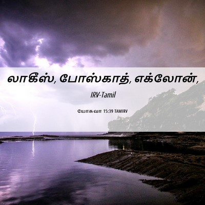 Picture 06 - யோசுவா 15:39 TAMIRV - லாகீஸ், போஸ்காத், - Bible Verse Picture