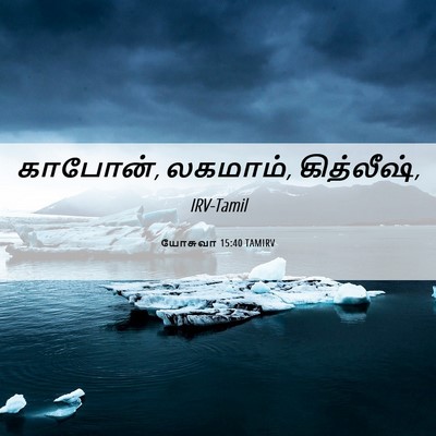 Picture 06 - யோசுவா 15:40 TAMIRV - காபோன், லகமாம், - Bible Verse Picture