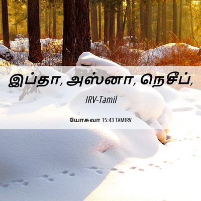 Picture 06 - யோசுவா 15:43 TAMIRV - இப்தா, அஸ்னா, - Bible Verse Picture