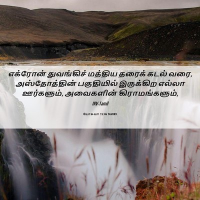 Picture 06 - யோசுவா 15:46 TAMIRV - எக்ரோன் துவங்கிச் - Bible Verse Picture