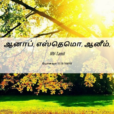 Picture 06 - யோசுவா 15:50 TAMIRV - ஆனாப், எஸ்தெமொ, - Bible Verse Picture