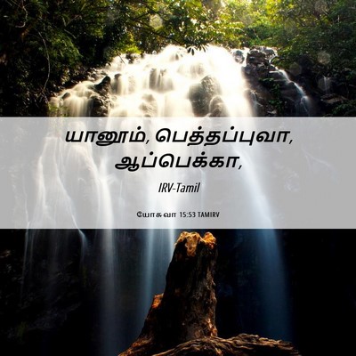Picture 06 - யோசுவா 15:53 TAMIRV - யானூம், - Bible Verse Picture