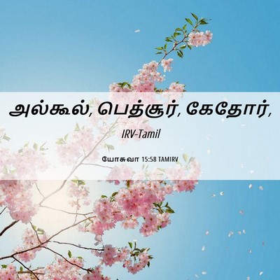 Picture 06 - யோசுவா 15:58 TAMIRV - அல்கூல், பெத்சூர், - Bible Verse Picture