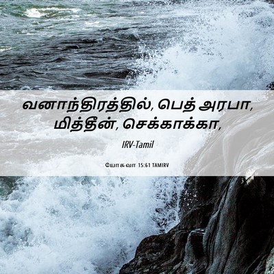 Picture 06 - யோசுவா 15:61 TAMIRV - வனாந்திரத்தில், - Bible Verse Picture