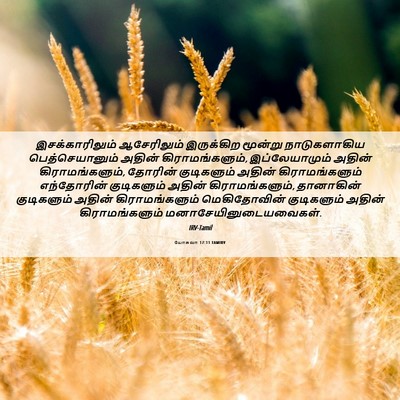 Picture 06 - யோசுவா 17:11 TAMIRV - இசக்காரிலும் - Bible Verse Picture