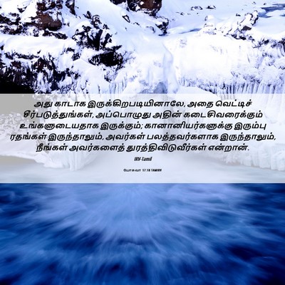 Picture 06 - யோசுவா 17:18 TAMIRV - அது காடாக - Bible Verse Picture