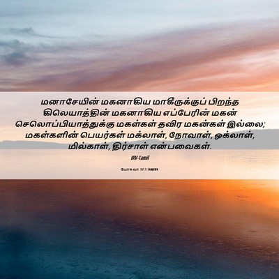 Picture 06 - யோசுவா 17:3 TAMIRV - மனாசேயின் மகனாகிய - Bible Verse Picture