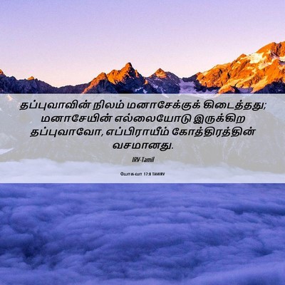 Picture 06 - யோசுவா 17:8 TAMIRV - தப்புவாவின் நிலம் - Bible Verse Picture