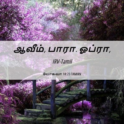 Picture 06 - யோசுவா 18:23 TAMIRV - ஆவீம், பாரா. - Bible Verse Picture