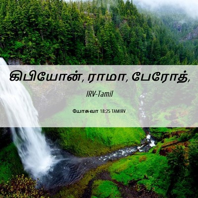 Picture 06 - யோசுவா 18:25 TAMIRV - கிபியோன், ராமா, - Bible Verse Picture