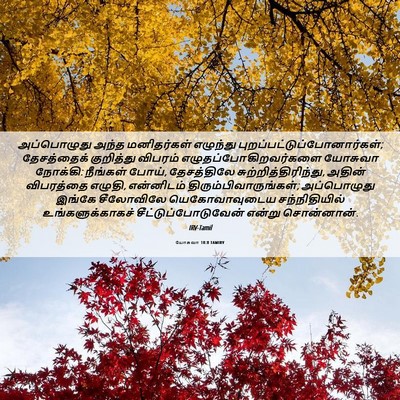 Picture 06 - யோசுவா 18:8 TAMIRV - அப்பொழுது அந்த - Bible Verse Picture