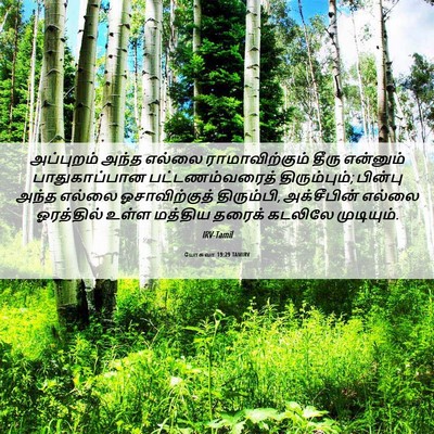 Picture 06 - யோசுவா 19:29 TAMIRV - அப்புறம் அந்த - Bible Verse Picture