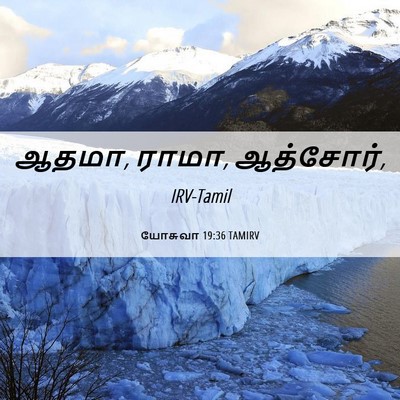 Picture 06 - யோசுவா 19:36 TAMIRV - ஆதமா, ராமா, - Bible Verse Picture