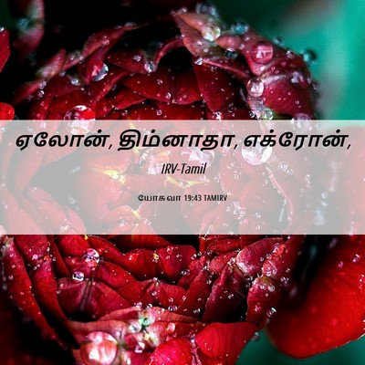 Picture 06 - யோசுவா 19:43 TAMIRV - ஏலோன், திம்னாதா, - Bible Verse Picture