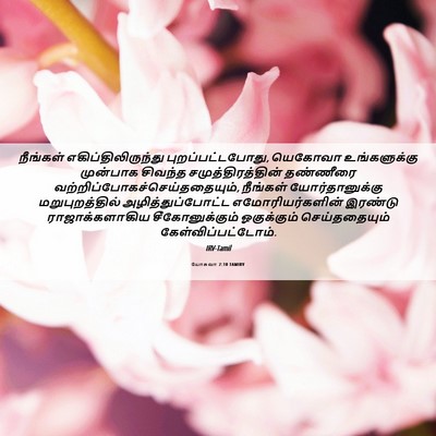 Picture 06 - யோசுவா 2:10 TAMIRV - நீங்கள் - Bible Verse Picture