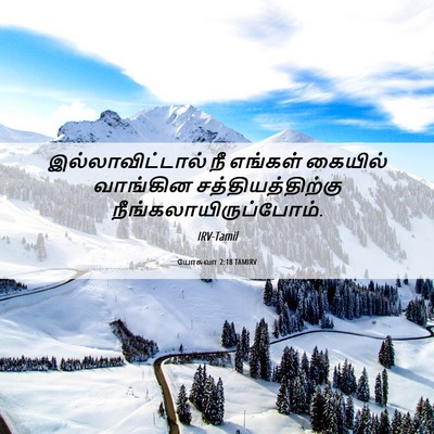 Picture 06 - யோசுவா 2:18 TAMIRV - இல்லாவிட்டால் நீ - Bible Verse Picture