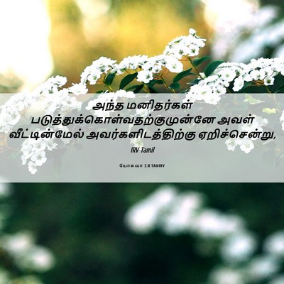 Picture 06 - யோசுவா 2:8 TAMIRV - அந்த மனிதர்கள் - Bible Verse Picture
